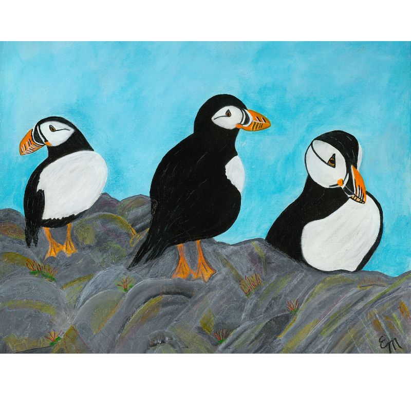 3 puffins on a cliff, puffins are the official bird of NL