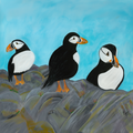 Three puffins on a rocky outcrop with a blue sky background. Puffins are the official bird of Newfoundland.