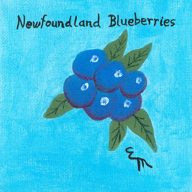 Illustration of blueberries with green leaves on a blue background, labeled 'Newfoundland Blueberries'.